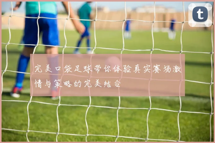完美口袋足球带你体验真实赛场激情与策略的完美结合