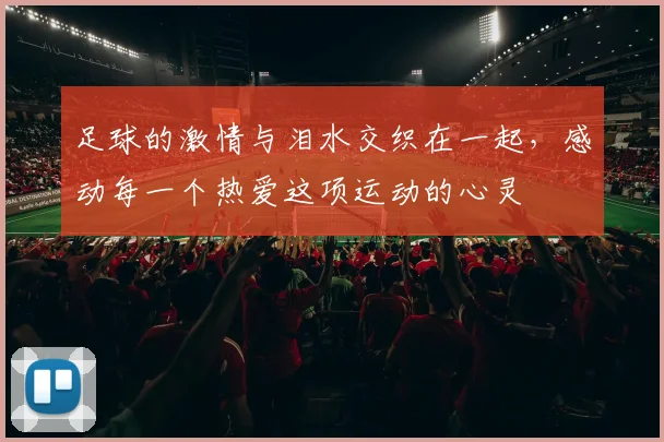 足球的激情与泪水交织在一起，感动每一个热爱这项运动的心灵
