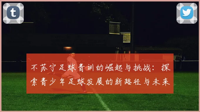 不苏宁足球青训的崛起与挑战：探索青少年足球发展的新路径与未来方向